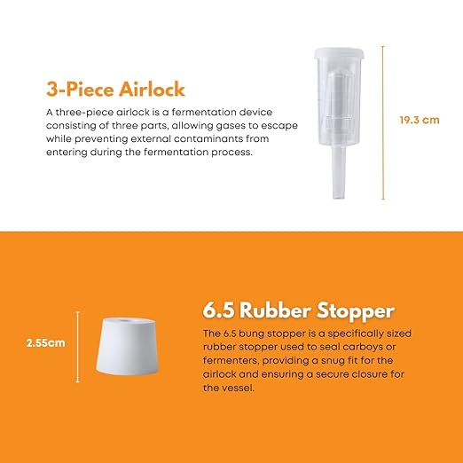 FastRack 1G Clear Glass Jugs with Polyseal Caps, #6 Rubber Bungs & Airlocks – Fermentation Jars for Home Brewing, Glass Fermenter Containers for Liquid Fermentation