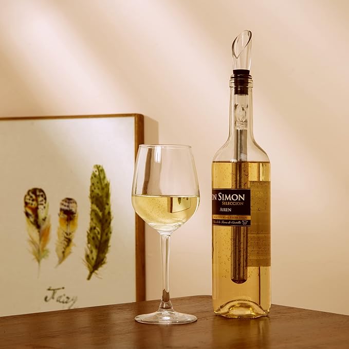 Wine Chiller Wine Aerator Wine Lover Gifts Wine Decanter Wine Accessories Perfect Wine Gifts for Women Wine Cooler Stick Rapid Iceless Wine Decanter Wine Chilling Rod set (red box）