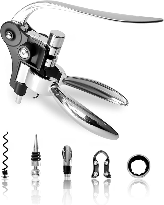 Silver Wine Corkscrew Opener Set - Luxury Wine Bottle Opener Kit for All Wines, Stainless Steel with Black Gift Box (Ideal Wine Gift, Premium Packaging)