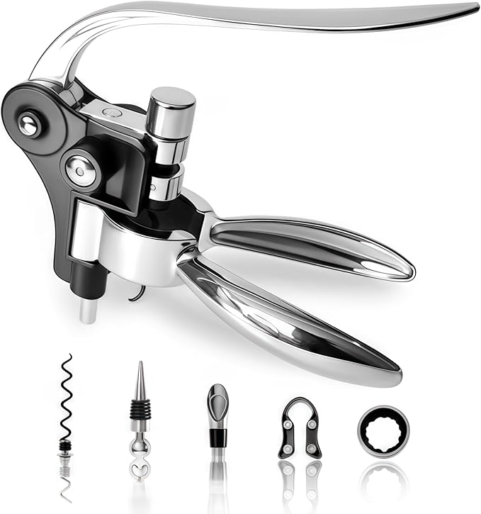 Silver Wine Corkscrew Opener Set - Luxury Wine Bottle Opener Kit for All Wines, Stainless Steel with Black Gift Box (Ideal Wine Gift, Premium Packaging)