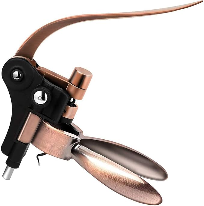 Premium Wine Bottle Opener Corkscrew kit, Wine Decanters Opener with Foil Cutter, Wine Stopper and Extra Spiral (Bronze)
