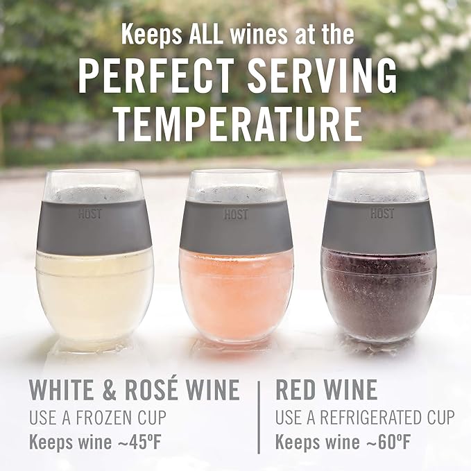 Host Cooling Cup Set of 1 Plastic Double Wall Insulated Freezable Drink Chilling Tumbler with Freezing Gel, Wine Glasses for Red and White Wine, 8.5 oz, Translucent Purple