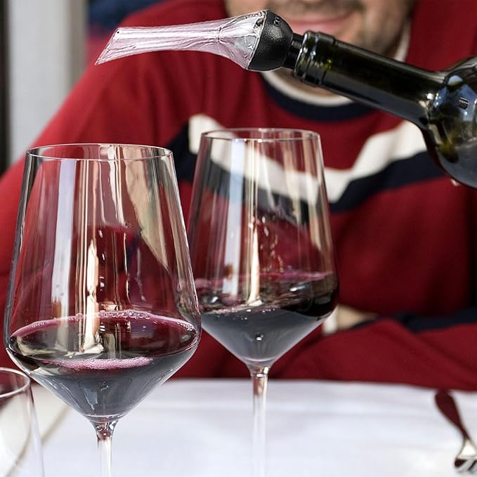 2 Pack Wine Aerator Pourer Spout，Red-Wine Bottle Aerator for Wine Gifts Accessories (Style-B)