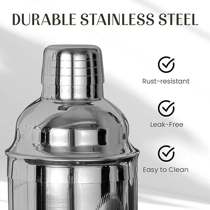 Mixology & Craft Bartender Kit – 15 Piece Cocktail Shaker Set with Bamboo Stand | Complete Cocktail Kit Gift Set | Top Bartender Gifts for Men & Women | Exclusive Recipe Cards (Silver)