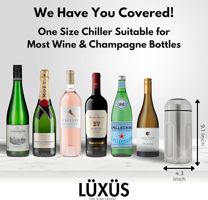 Stainless Steel Champagne Bucket - 750ml Double Wall Insulated Wine Chillers for Bottles - Durable, Easy to Use Wine Chiller for Outdoor Picnic, Beach, Travel, Deck, Forest, Lake, River, Gifts
