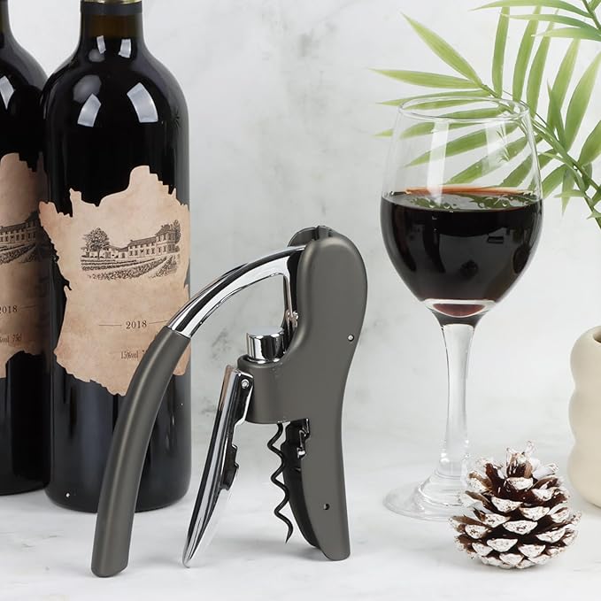 KAYCROWN Stainless Steel Wine Bottle Opener, Vertical Lever Corkscrew with Metal handle, Foil Cutter and Extra Spiral, Manual Handheld Corkscrew with Ergonomic Lever Pump(Grey)