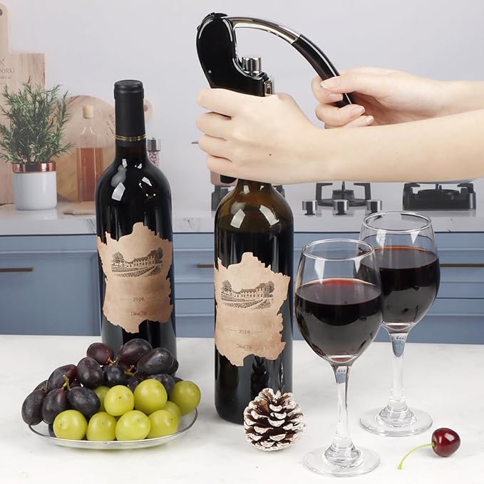 KAYCROWN Stainless Steel Wine Bottle Opener, Compact Vertical Lever Corkscrew with Foil Cutter and Extra Spiral, Manual Handheld Corkscrew with Ergonomic Lever Pump (Black)