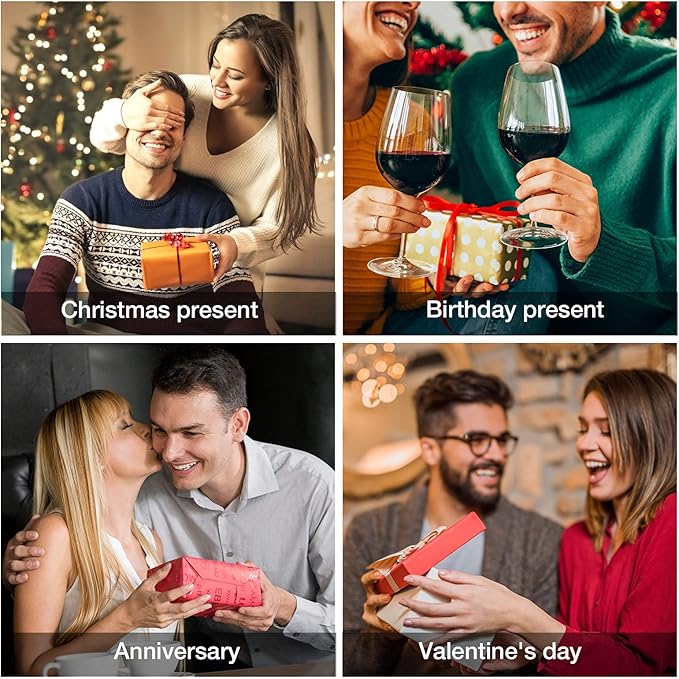 Wine Chiller Wine Aerator Wine Lover Gifts Wine Decanter Wine Accessories Perfect Wine Gifts for Women Wine Cooler Stick Rapid Iceless Wine Decanter Wine Chilling Rod set (red box）