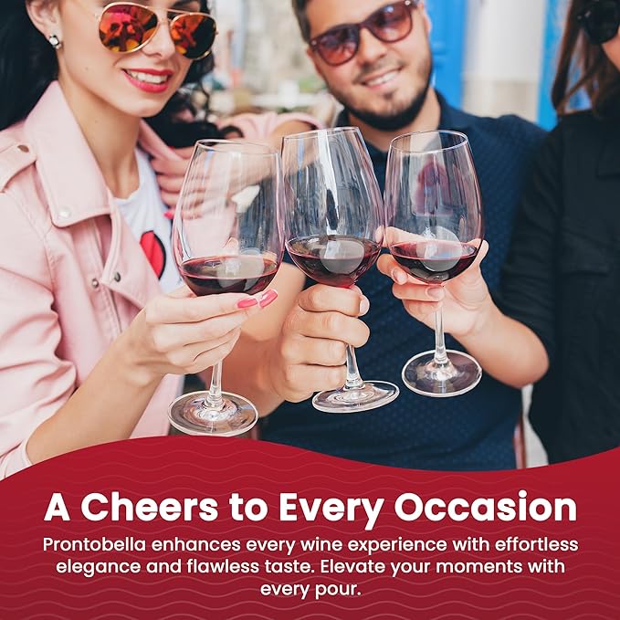 Wine Aerator and Pourer for Enhanced Flavor, Refined Aroma, Smooth Rich Finish, Travel Friendly, Affordable Valentines day Gift for Women/Friend/Wine Lover |Clear, No Drip and Stainless Steel Design