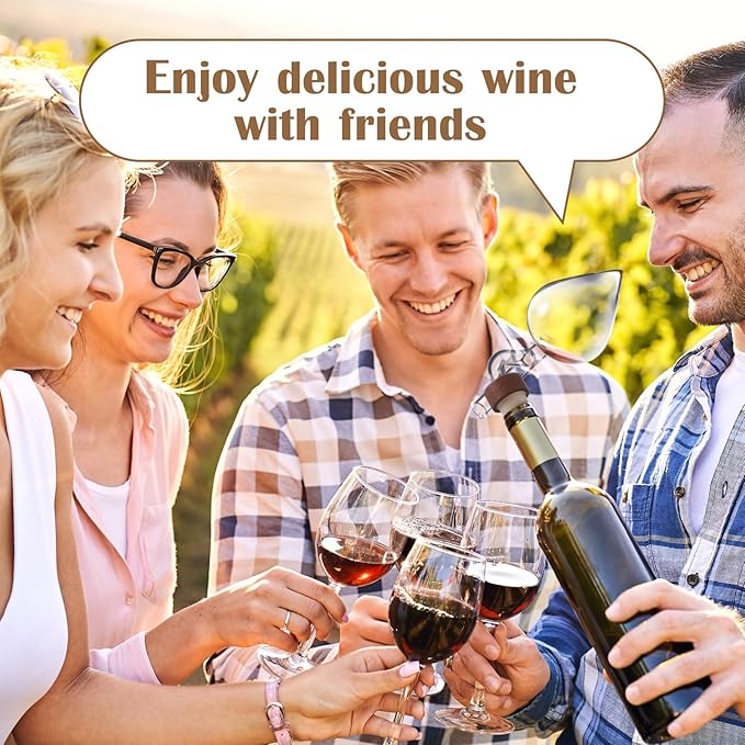 CHENGU 2 Pcs Wine air Aerator Decanter with Aerator Pourer Red White in Bottle Aerators Wine Gift Accessories Makes Your Wines Taste Better
